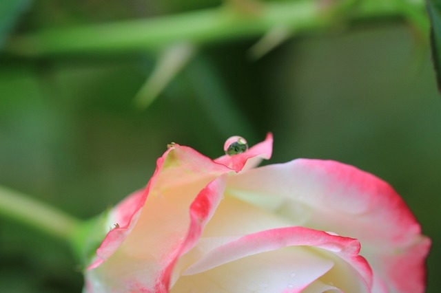 IMG_3363.jpg