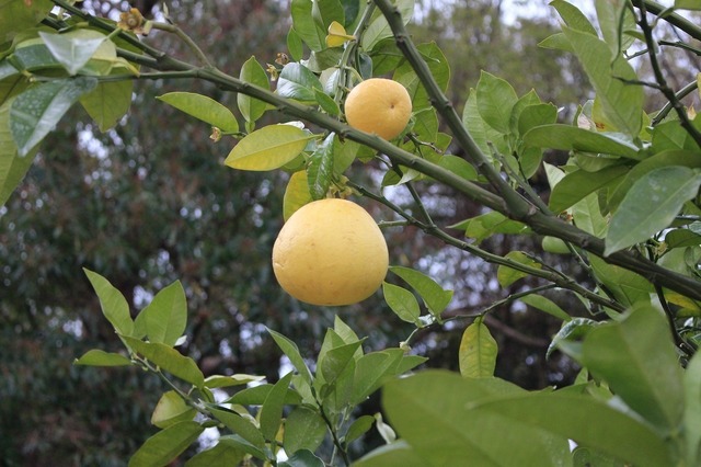 IMG_8001.jpg