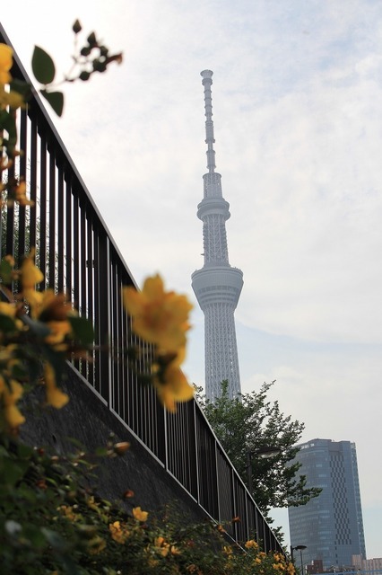 IMG_9082.jpg
