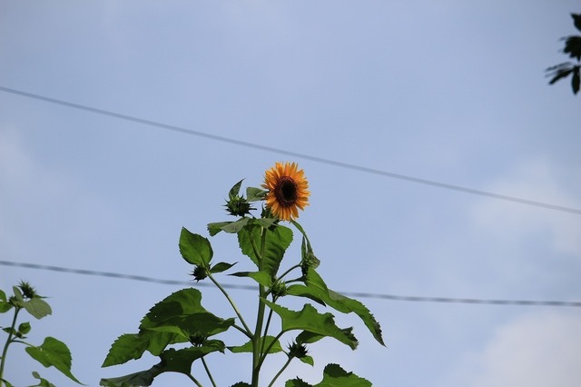 IMG_9794.jpg