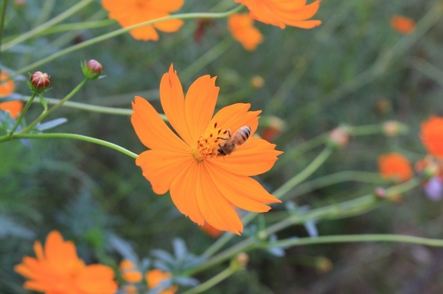 IMG_0798.jpg