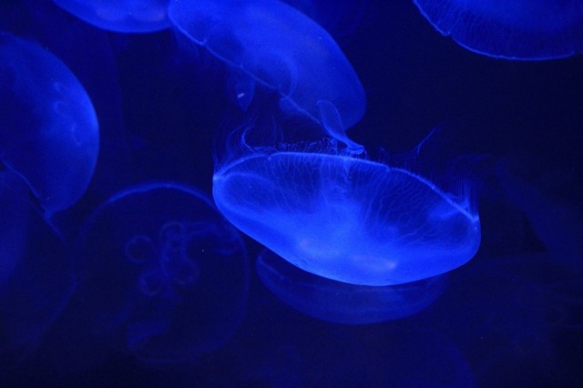 _MG_3634.jpg