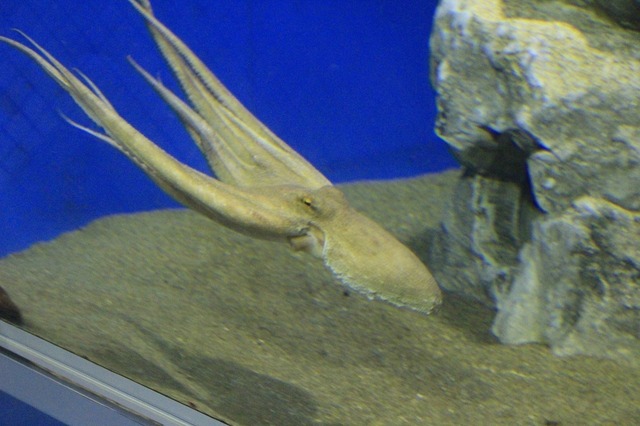 _MG_3646.jpg