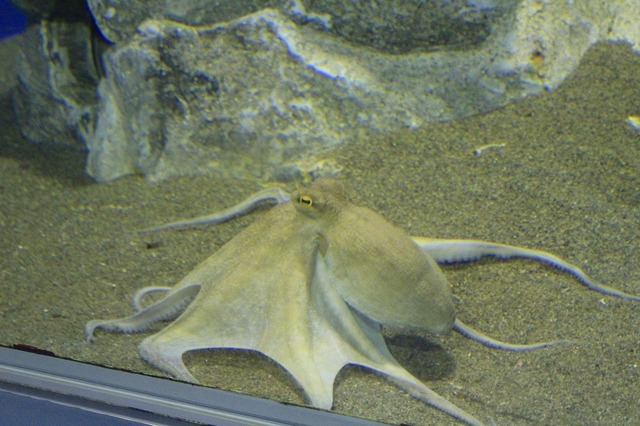 _MG_3647.jpg