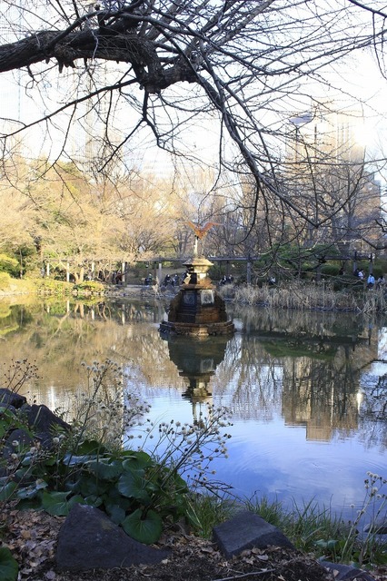 _MG_4510.jpg