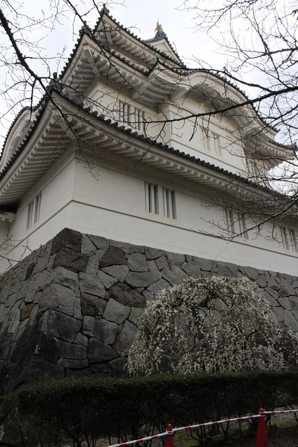 _MG_5160.jpg