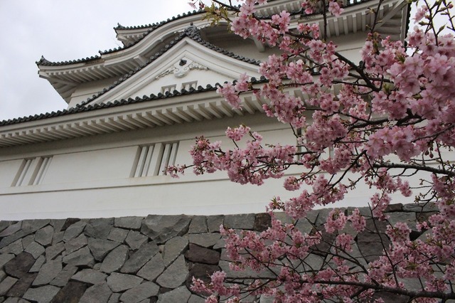 _MG_5164.jpg