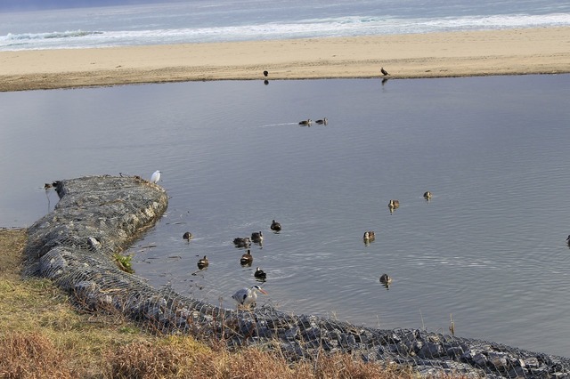 _MG_6072.jpg