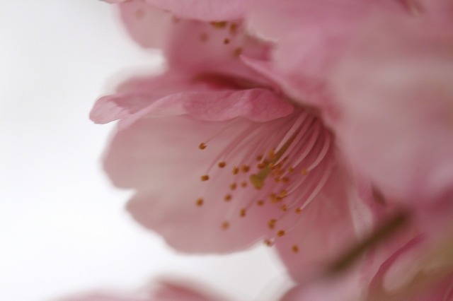 _MG_6283.jpg