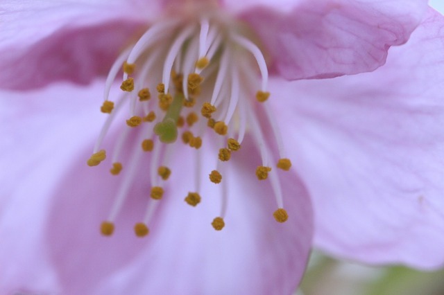 _MG_6290.jpg