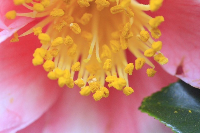 _MG_6295.jpg