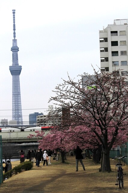 _MG_6298.jpg