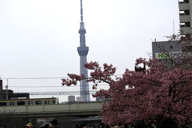 _MG_6392.jpg