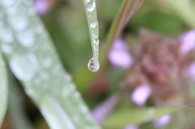 _MG_6422.jpg