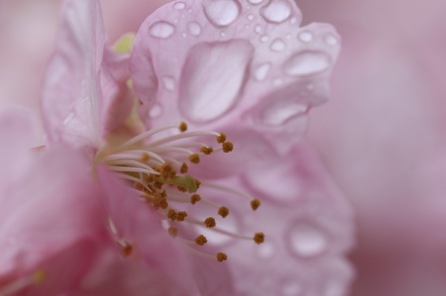 _MG_6425.jpg