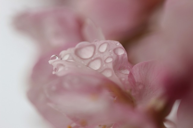 _MG_6428.jpg
