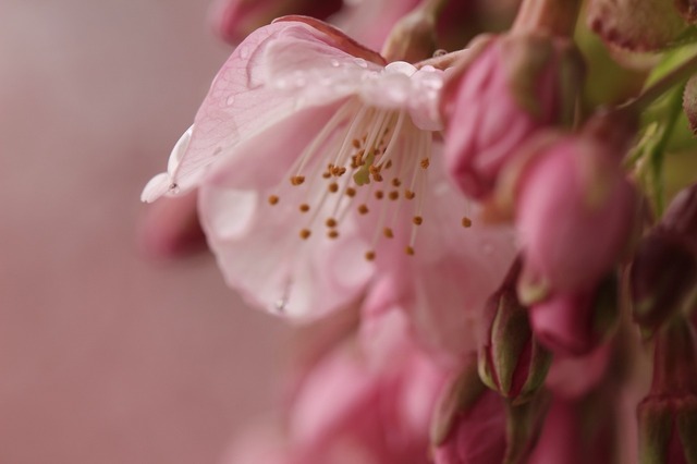_MG_6432.jpg