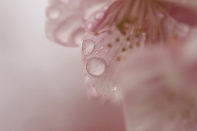 _MG_6436.jpg