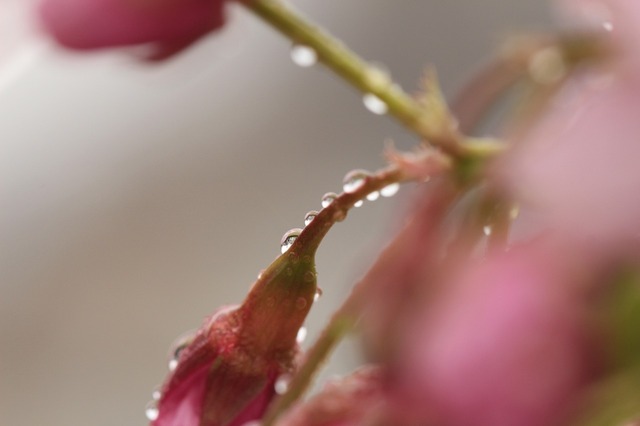 _MG_6504.jpg