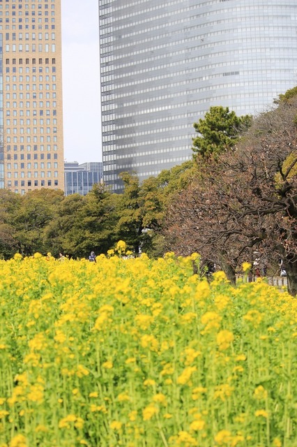 _MG_6536.jpg