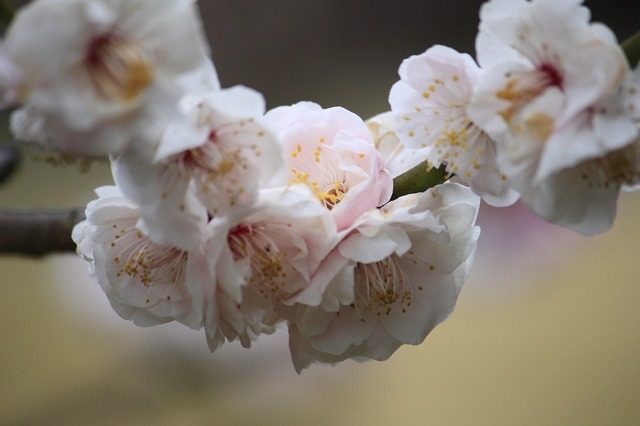 _MG_6543.jpg