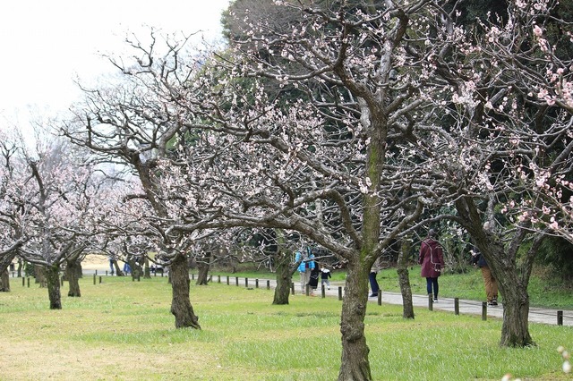 _MG_6547.jpg