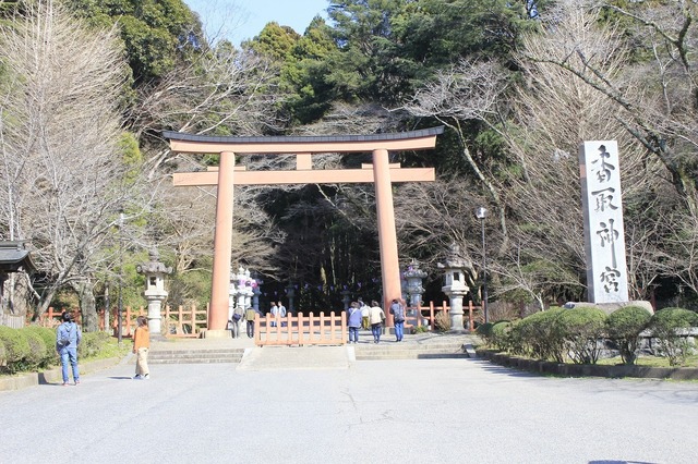 _MG_6689.jpg
