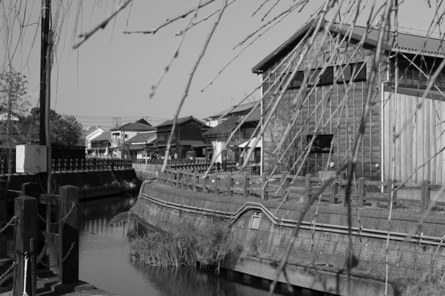 _MG_6711.jpg