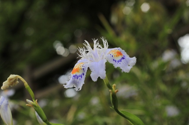 _MG_6891.jpg