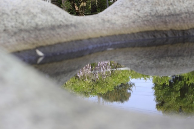 _MG_7047.jpg