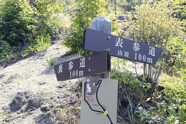 _MG_7381.jpg