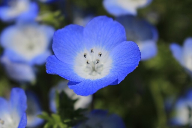_MG_7634.jpg