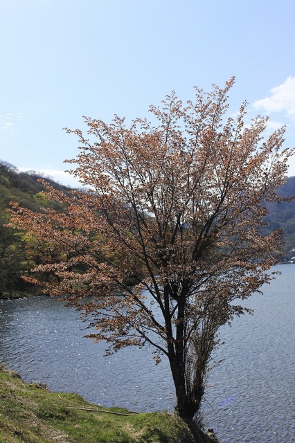 _MG_7694.jpg