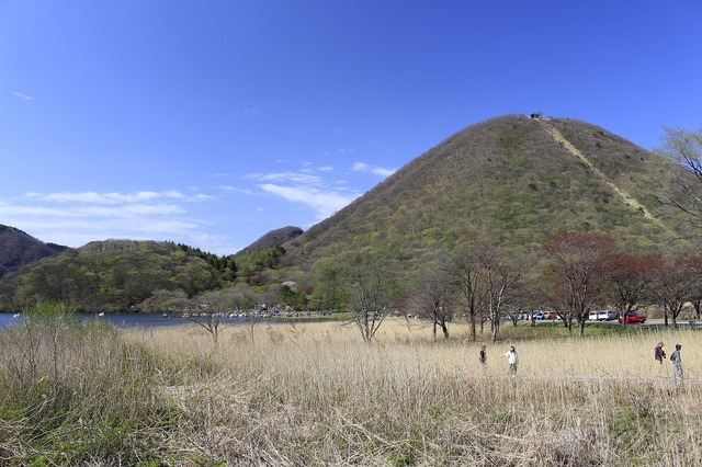 _MG_7697.jpg