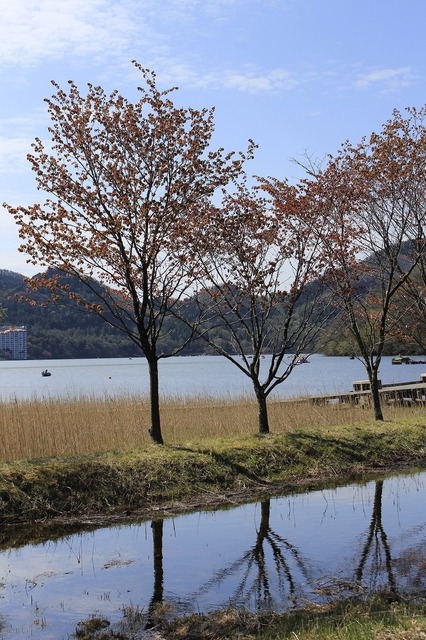 _MG_7699.jpg