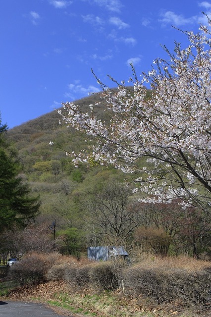 _MG_7703.jpg