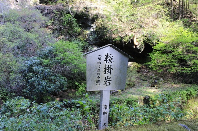 _MG_7717.jpg