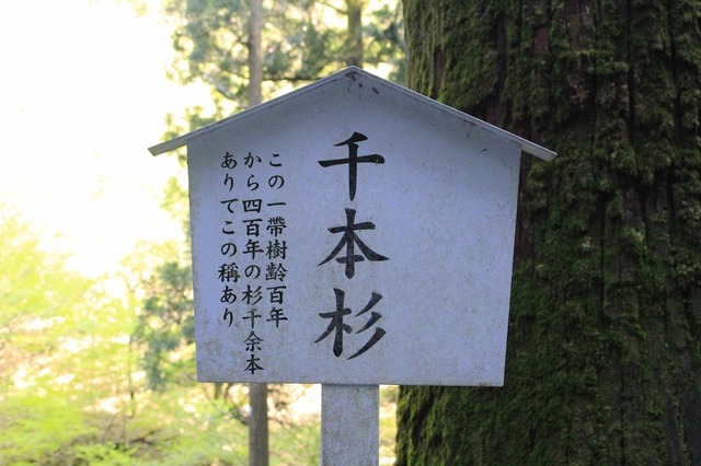 _MG_7720.jpg
