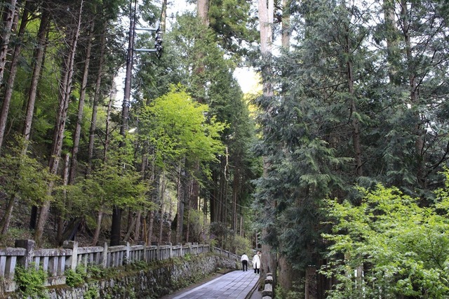 _MG_7721.jpg