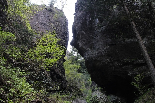 _MG_7740.jpg