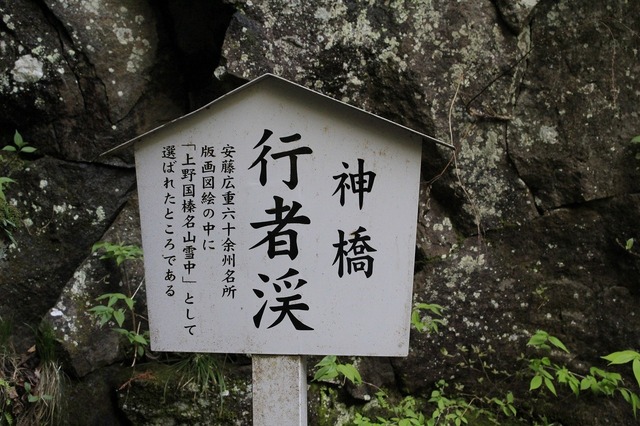 _MG_7741.jpg