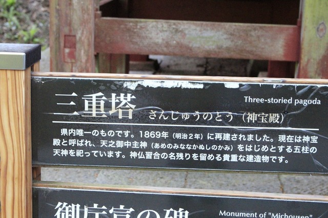 _MG_7743.jpg