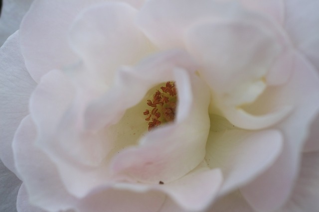 _MG_7783.jpg
