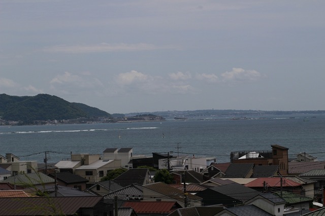 _MG_8780.jpg